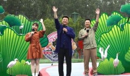 大锤助理爆料视频大全最新,揭秘娱乐圈幕后真相