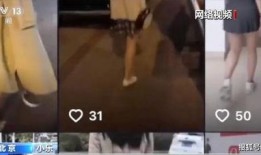 梅子小姐被爆料视频,揭秘背后真相与争议