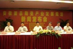 安徽萧县媒体爆料新闻事件,惊心动魄的事件背后真相揭晓